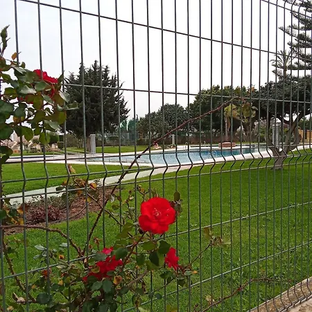 Paradise In Malaga, Recep 24 H, Swimming Pool, Near To The Beach, Center And Airport, Train, Bus, Taxi Apartment Torremolinos